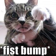 Team Page: Northern Arizona Market